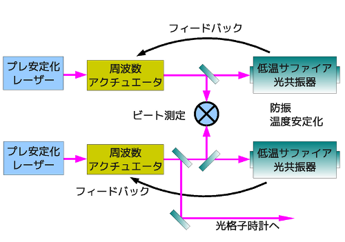 ExperimentalSetup.png